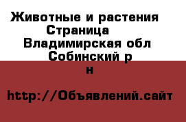  Животные и растения - Страница 12 . Владимирская обл.,Собинский р-н